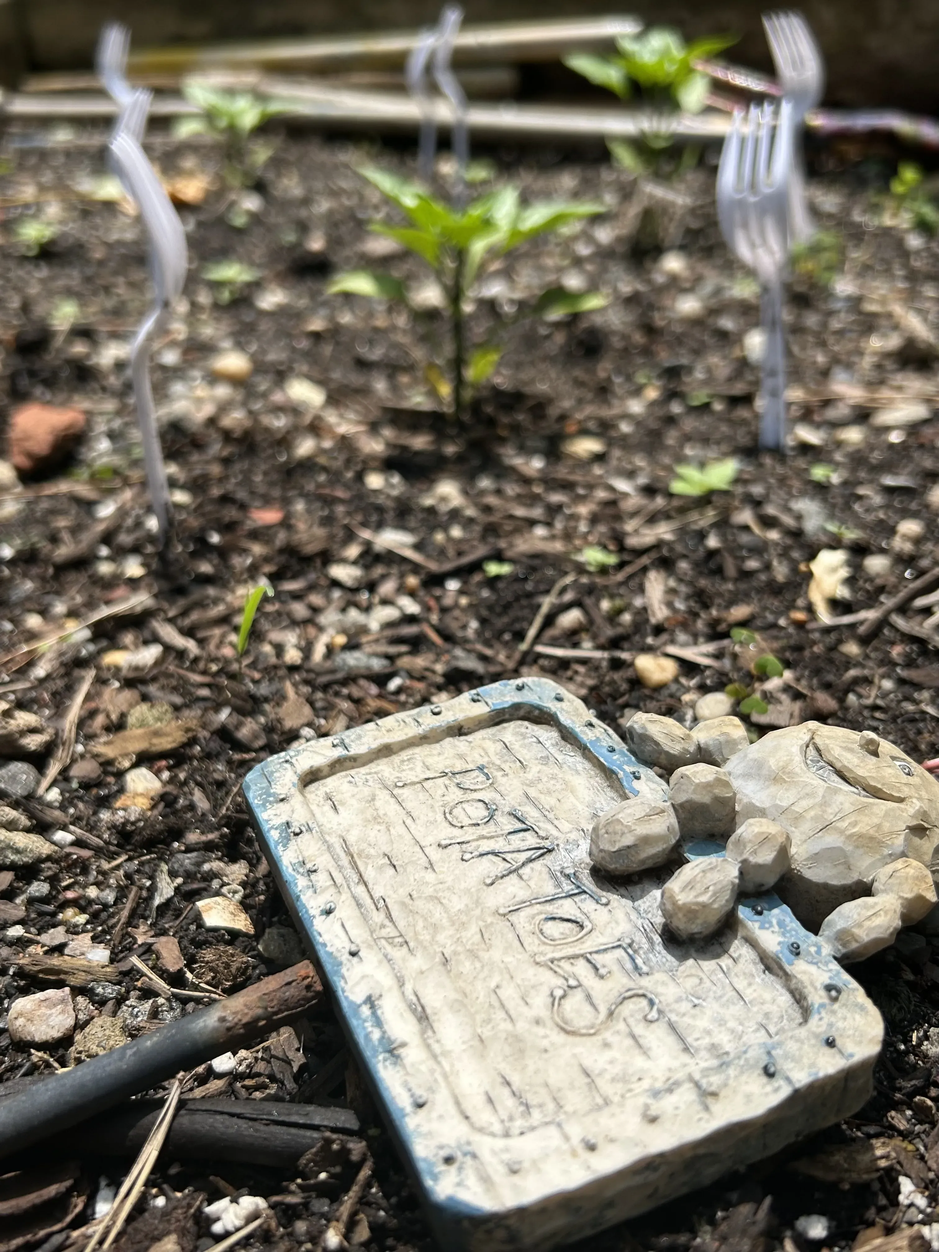 Rock statue lies on ground with potatoes sign